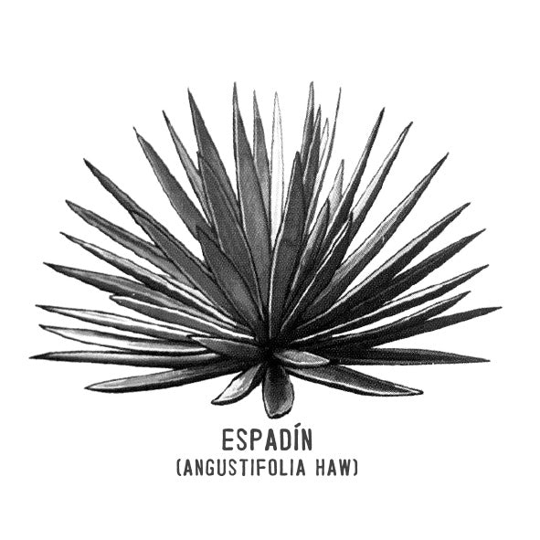 Espadin 700 ml