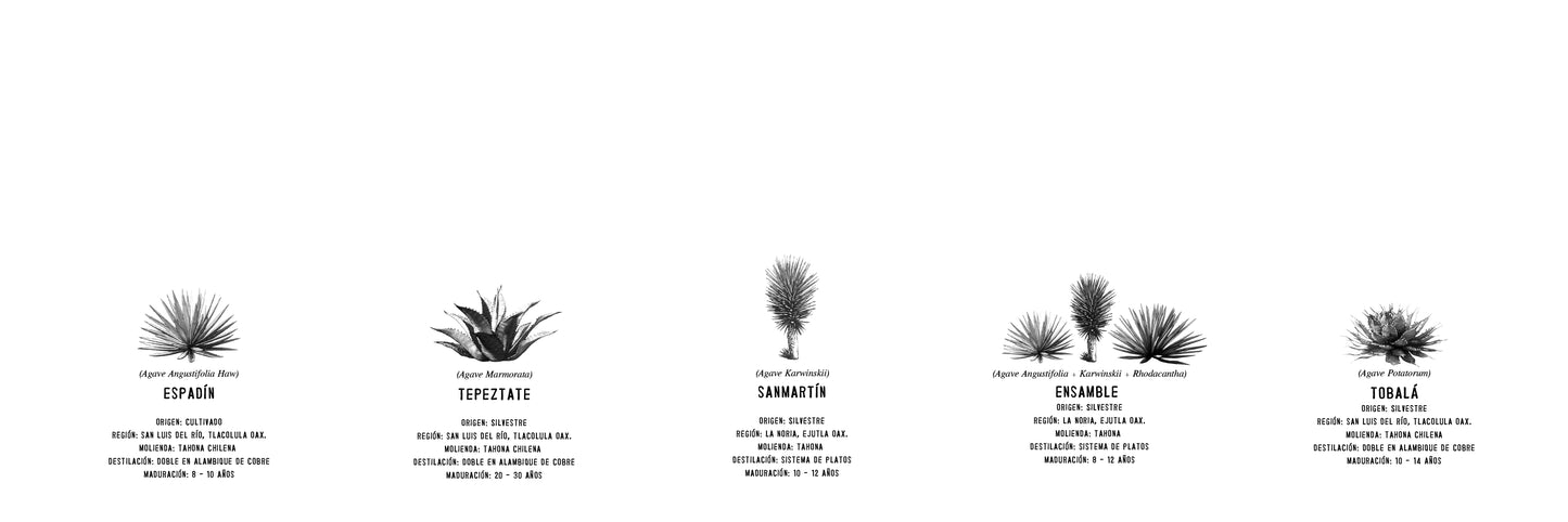 Cofre Pachitas: Edición Especial