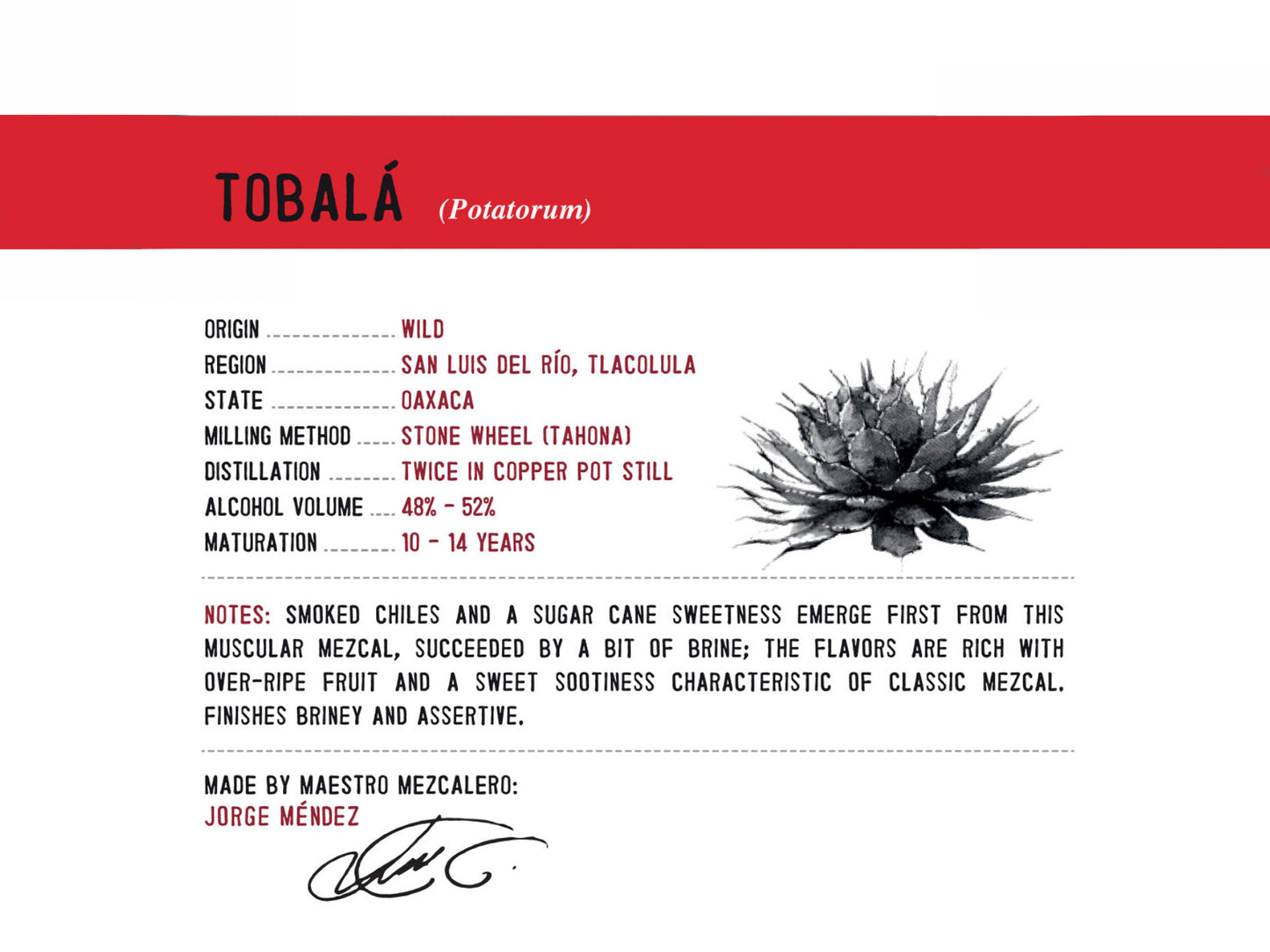 Tobalá 700 ml