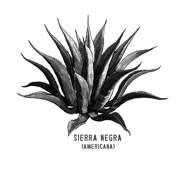 Sierra Negra 700 ml